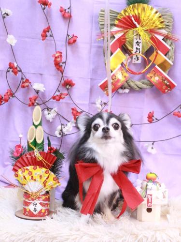 20230124ジンくん